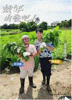 全能影视热榜第四综艺缩略图